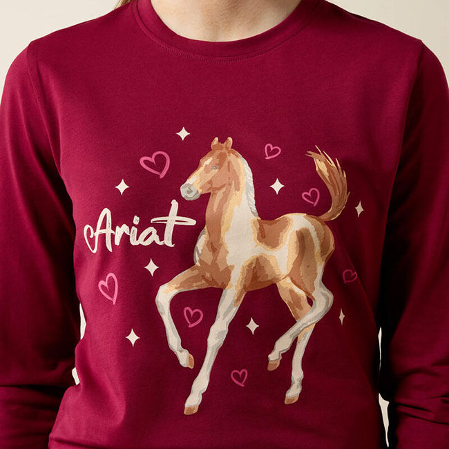 Ariat Kids' Painted Dream T-Shirt - Beet Red image number null