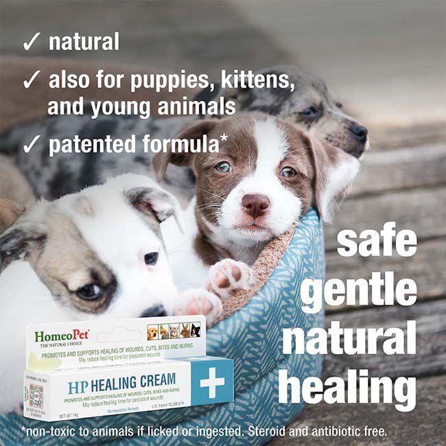 HomeoPet HP Healing Cream - 15 mL image number null