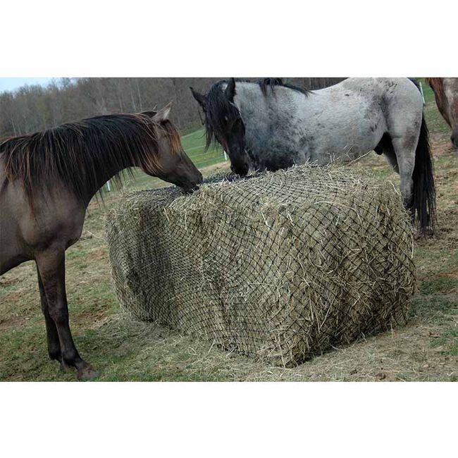 Hay Chix Large Bale Net image number null