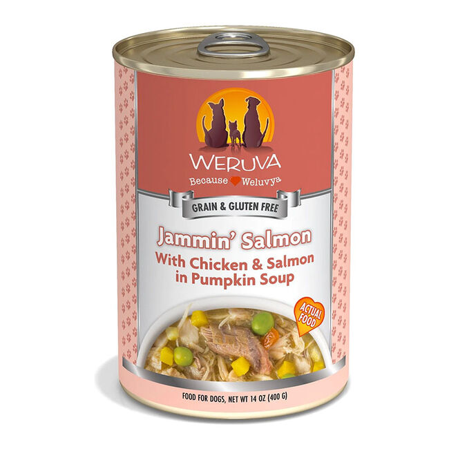 Weruva Classic Dog Food - Jammin' Salmon with Chicken & Salmon in Pumpkin Soup - 14 oz image number null