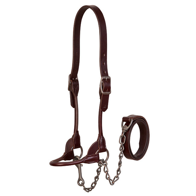 Weaver Livestock Brown Bombshell Show Halter image number null