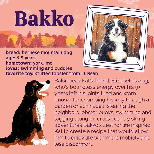 Austin and Kat Bakko's Hip and Joint Chew 14mg - 10 oz image number null