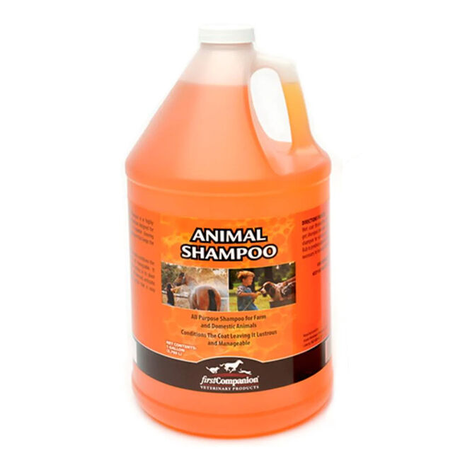 First Companion Animal Shampoo image number null