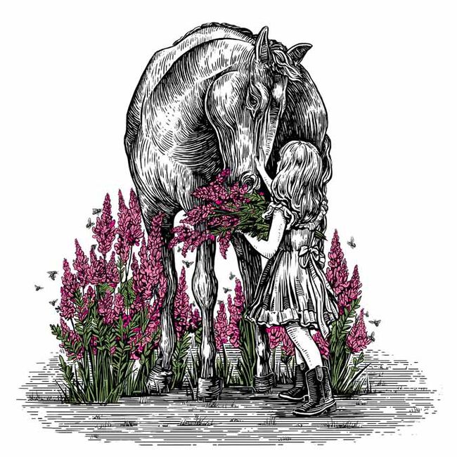 StableFeed Sainfoin Forage Pellet image number null