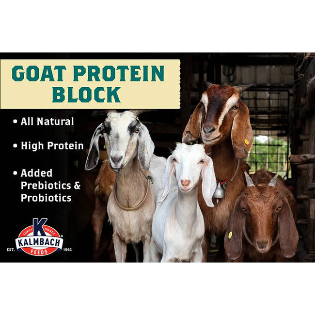Kalmbach Feeds Goat Protein Block - 25 lb image number null