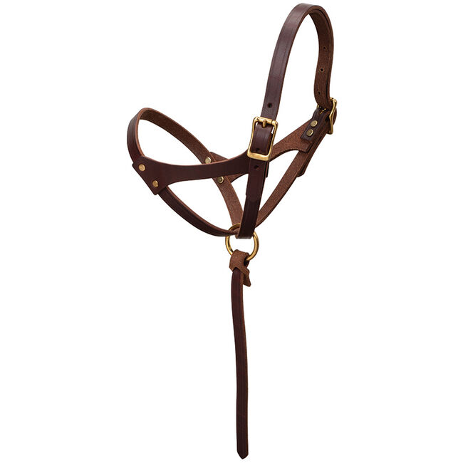 Weaver Figure 8 Foal Halter image number null