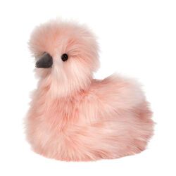Douglas Mara the Pink Silkie Chick