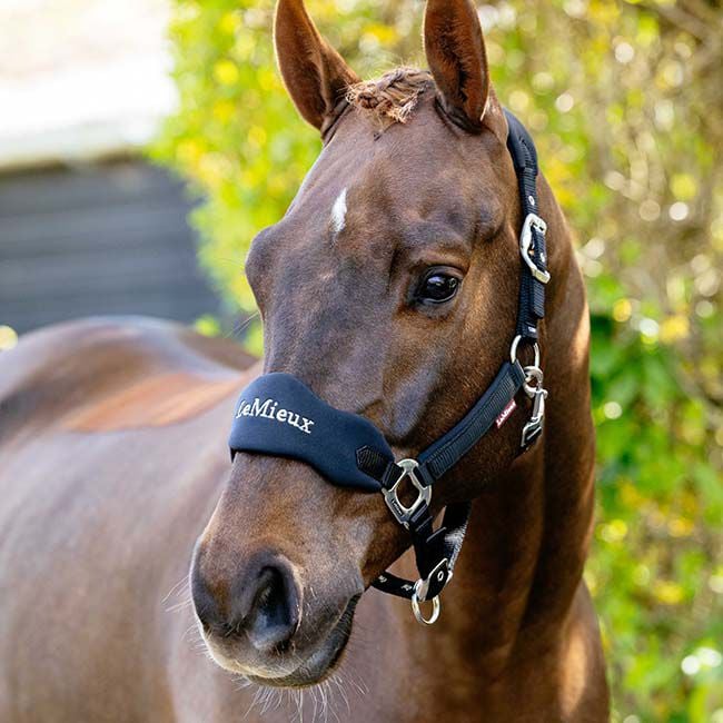 LeMieux Vogue Breakaway Halter - Black image number null