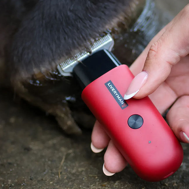 Liveryman Robin Professional Horse Trimmer image number null