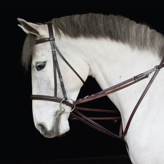 Tory Leather Training Martingale image number null
