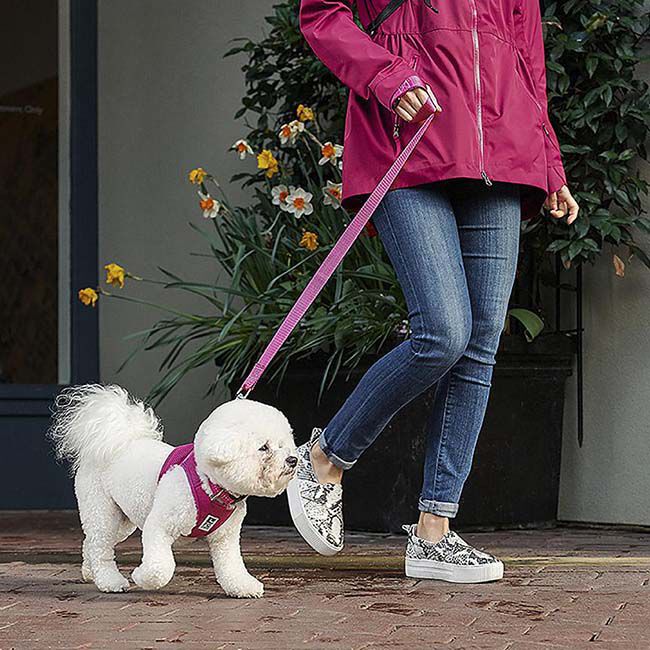 RC Pets Step In Cirque Dog Harness Mulberry The Cheshire Horse