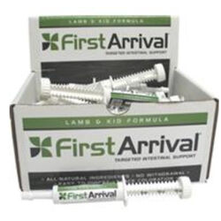 First Arrival Paste Lamb and Kid Formula