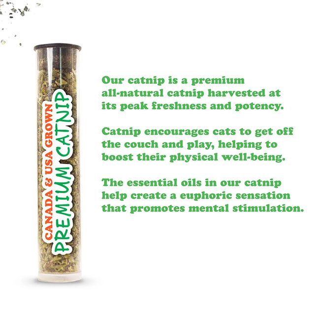 Meowijuana Get Spooked Refillable Catnip Toy - Scarecrow image number null