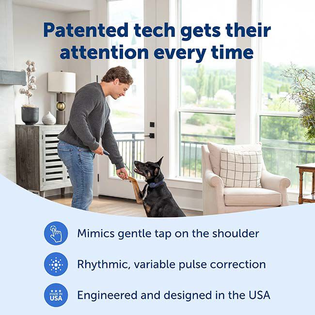 PetSafe Basic Dog Trainer with Remote image number null