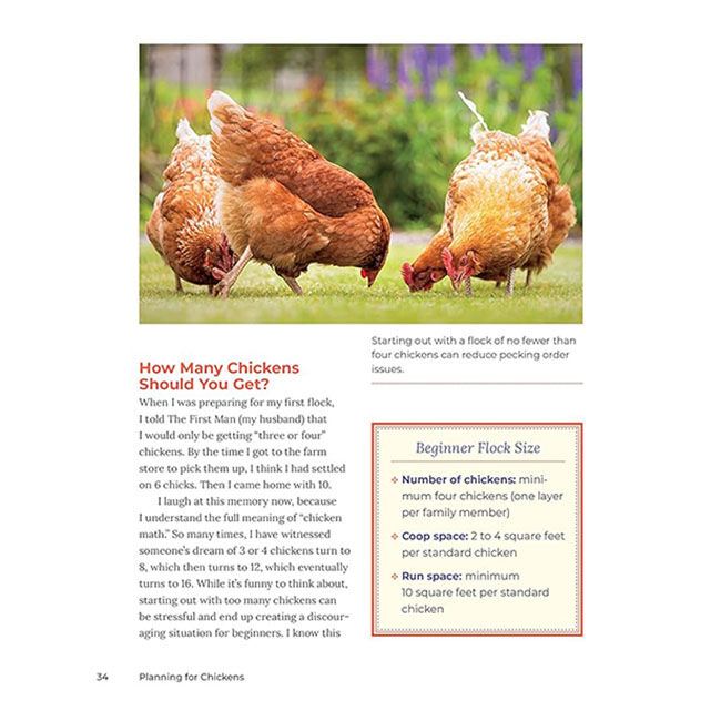 Let's All Keep Chickens!: The Down-to-Earth Guide to Natural Practices for Healthier Birds and a Happier World image number null