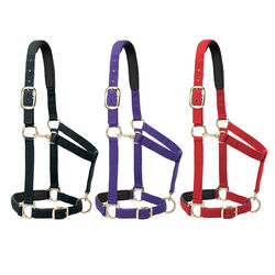 Weaver Padded Adjustable Chin and Throat Snap Halter - Horse Size