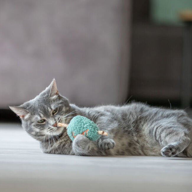 Trixie Silvervine Heart Cat Toy - Assorted Colors image number null