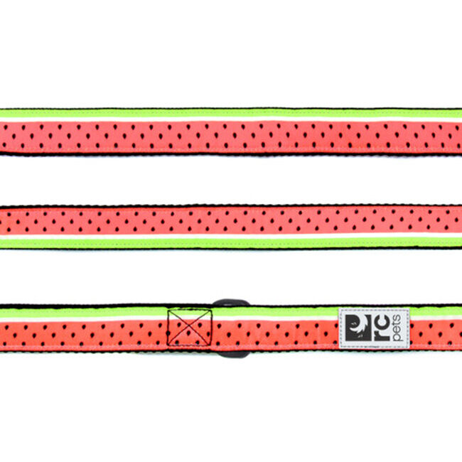 RC Pets Dog Leash - Watermelon image number null