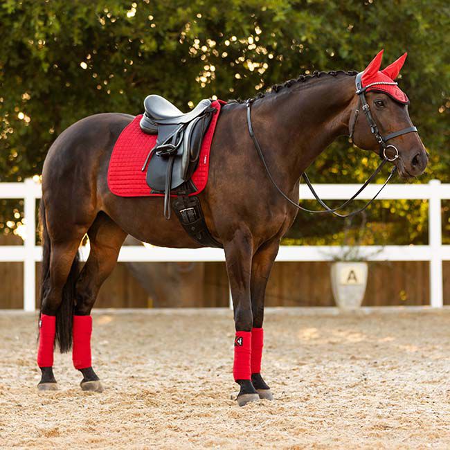 LeMieux Suede Dressage Pad - Chilli image number null