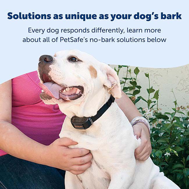 PetSafe Vibration Bark Control Collar The Cheshire Horse