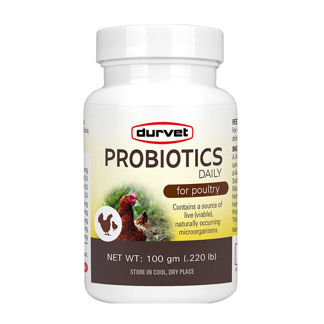 Durvet Probiotics Daily for Poultry image number null