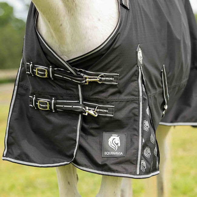 Equinavia Norse Fleece-Lined Turnout Blanket - Black image number null