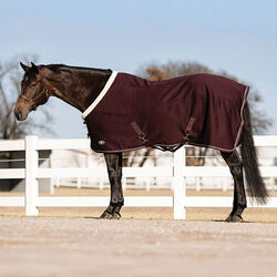 Professional's Choice Softshell Cooler - Wine