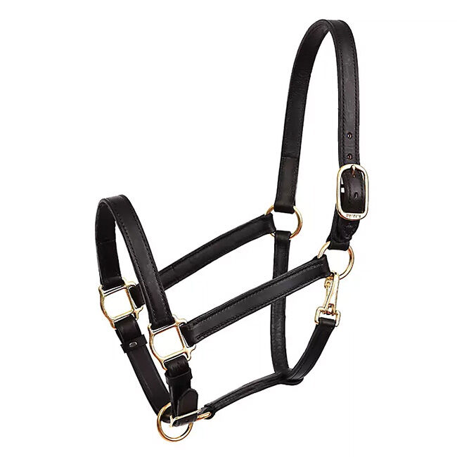 Perri's 1'' Leather Turnout Halter image number null