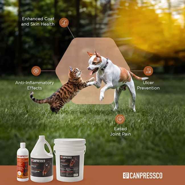 Canpressco Camelina Oil image number null