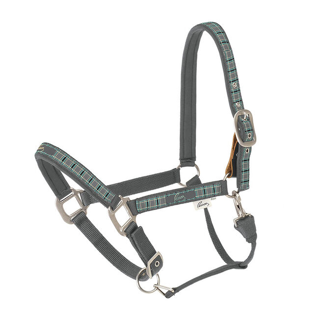 Pessoa Padded Plaid Breakaway Halter - Size: Horse - Closeout image number null