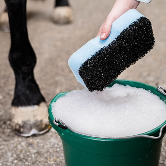 Epona April Showers Horse Sponge image number null