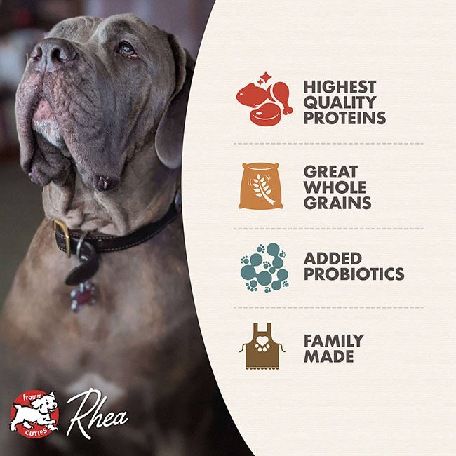Fromm Classic Adult Large & Giant Breed Dog Food image number null