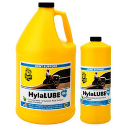 Select the Best HylaLUBE