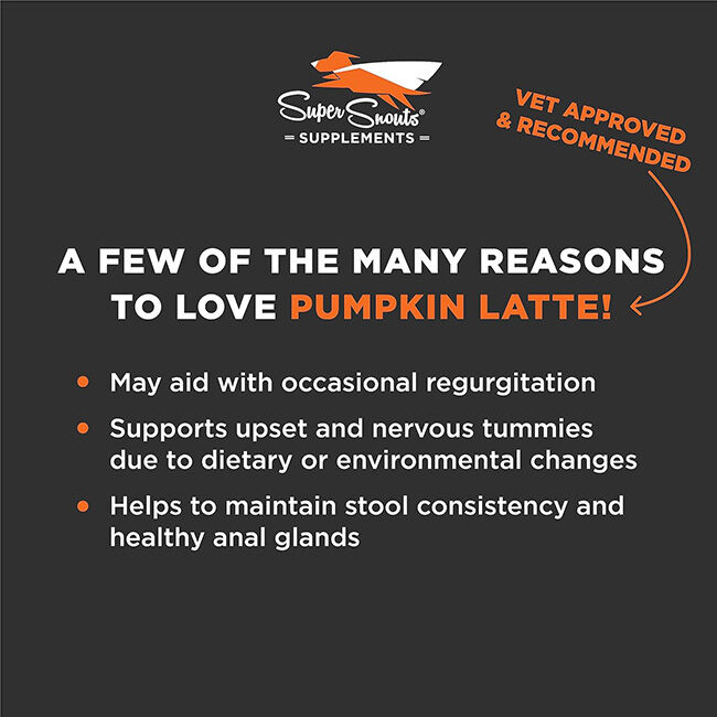 Super Snouts Pumpkin Latte Digestive Supplement for Dogs & Cats - 5 oz image number null