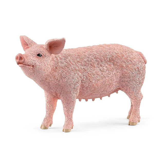 Schleich Pig image number null