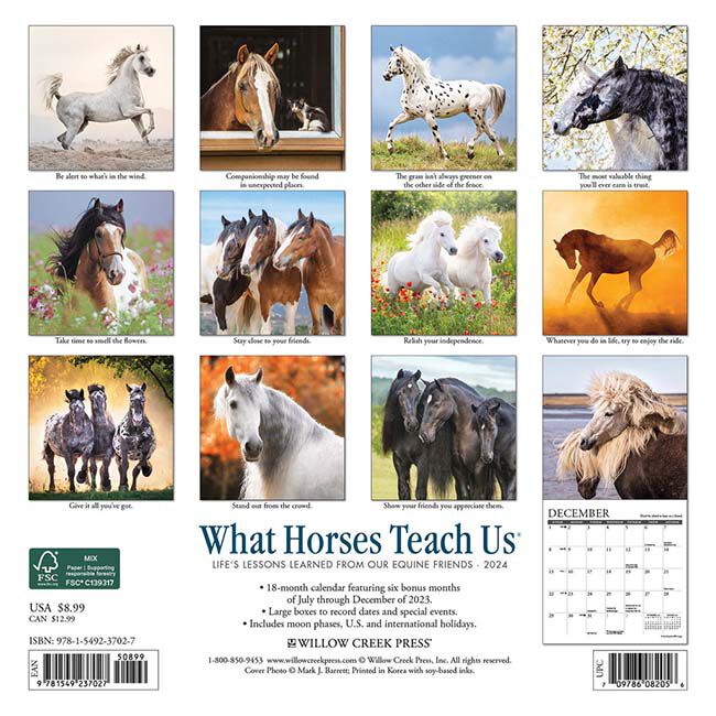 Willow Creek Press 7" x 7" Mini Wall Calendar - What Horses Teach Us image number null