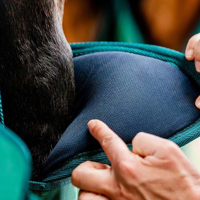 Horseware Signature Travel Boots - Hunter Green image number null