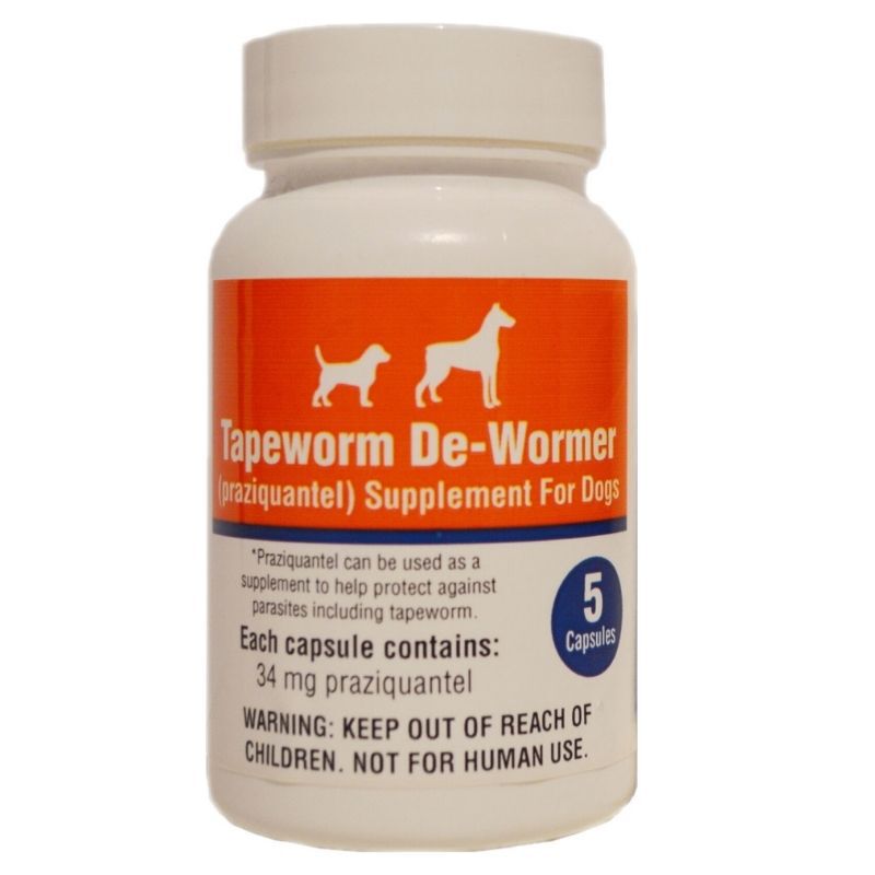Praziquantel for dogs hotsell over the counter