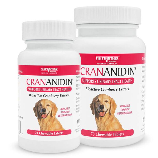 Crananidin Tablets for Dogs image number null