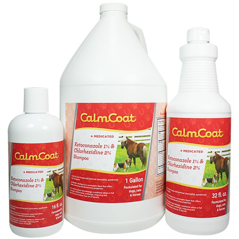 Chlorhexidine shampoo 2025 for horses