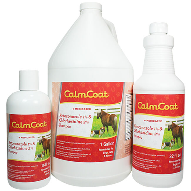 CalmCoat Ketoconazole 1 & Chlorhexidine 2 Shampoo The Cheshire Horse