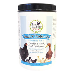 Fresh Eggs Daily Poultry Probiotics - 16 oz
