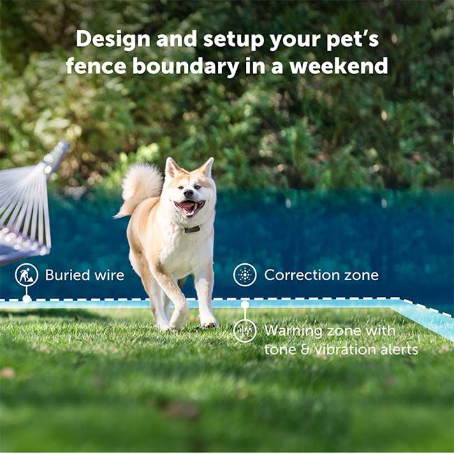 PetSafe Stubborn Dog In-Ground Fence image number null