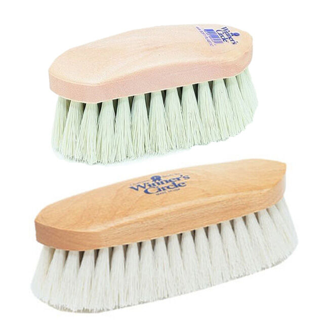 Champion Brush Dandy Brush with Ivory Polypropylene Fibers image number null