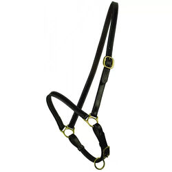Gatsby Leather Grooming Halter