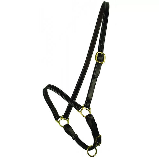 Gatsby Leather Grooming Halter image number null