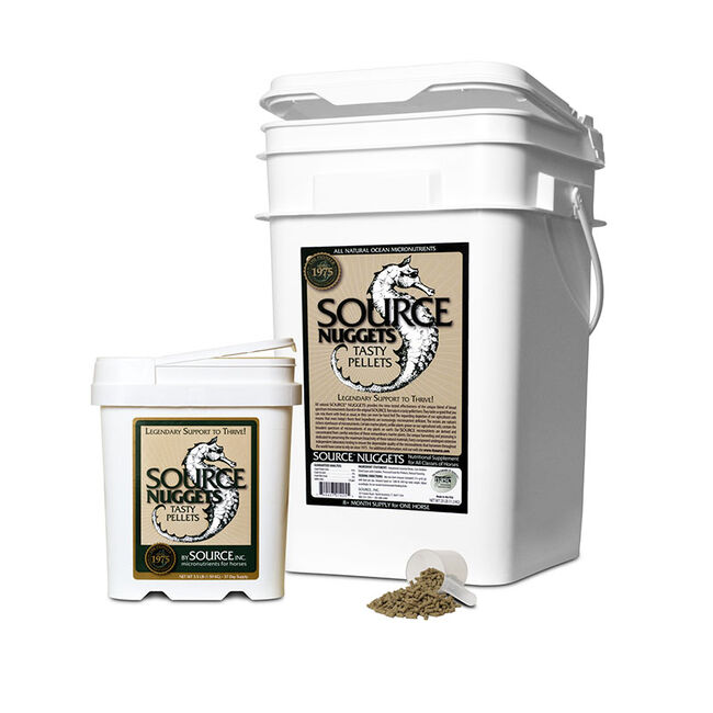 Source Micro Nuggets image number null