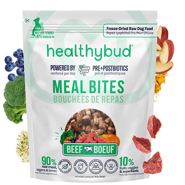 HealthyBud Meal Bites Freeze-Dried Raw Dog Food - Beef Recipe image number null