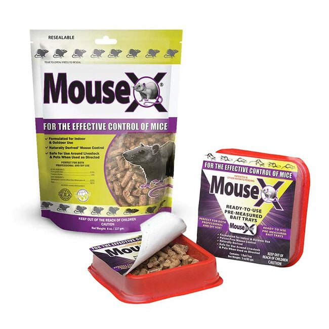 EcoClear MouseX Rodent Control image number null