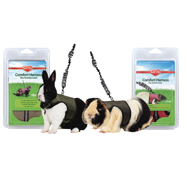 Kaytee Comfort Harness & Stretchy Leash image number null